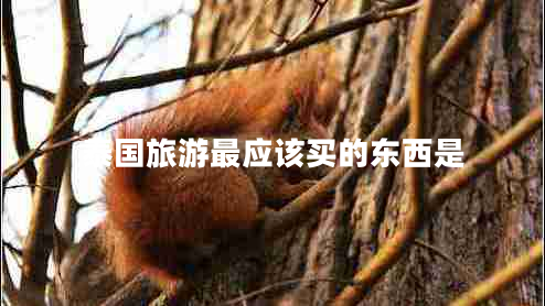 泰國旅游最應該買(mǎi)的東西是