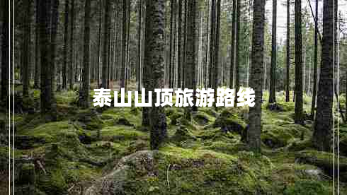 泰山山頂旅游路線(xiàn)
