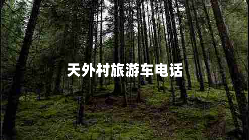 天外村旅游車(chē)電話(huà)