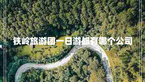 鐵嶺旅游團一日游都有哪個(gè)公司