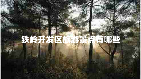 鐵嶺開(kāi)發(fā)區旅游景點(diǎn)有哪些
