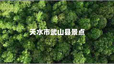 天水市武山縣景點(diǎn)