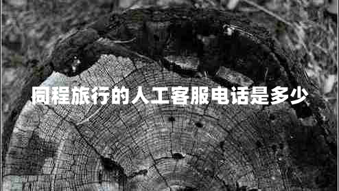 同程旅行的人工客服電話(huà)是多少