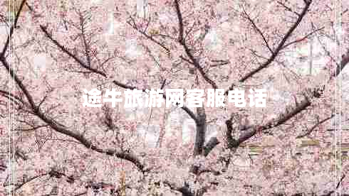 途牛旅游網(wǎng)客服電話(huà)