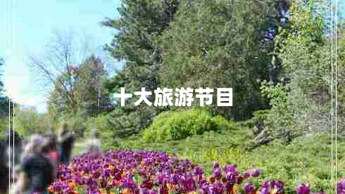 十大旅游節目