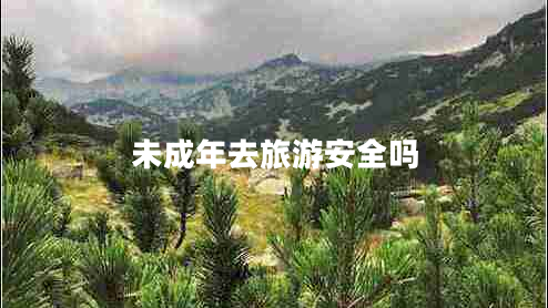 未成年去旅游安全嗎