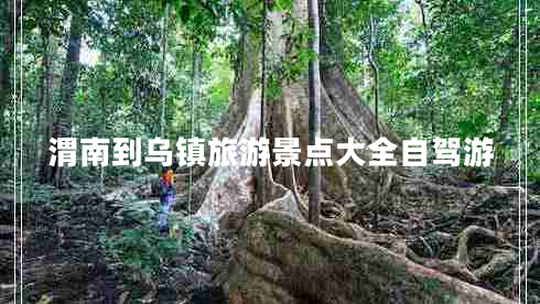 渭南到烏鎮旅游景點(diǎn)大全自駕游