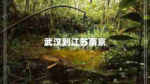 武漢到江蘇南京