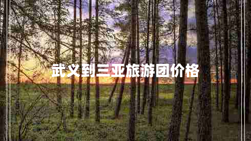 武義到三亞旅游團價格