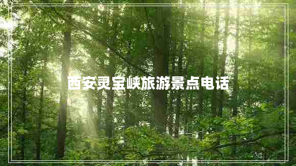 西安靈寶峽旅游景點(diǎn)電話