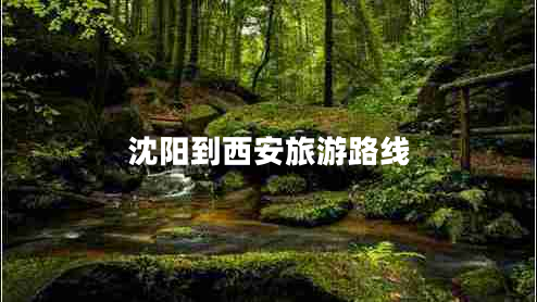 沈陽(yáng)到西安旅游路線