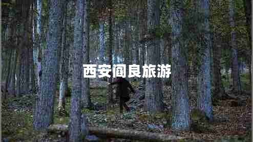 西安閻良旅游