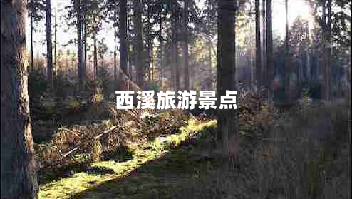 西溪旅游景點(diǎn)