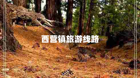 西營鎮(zhèn)旅游線路