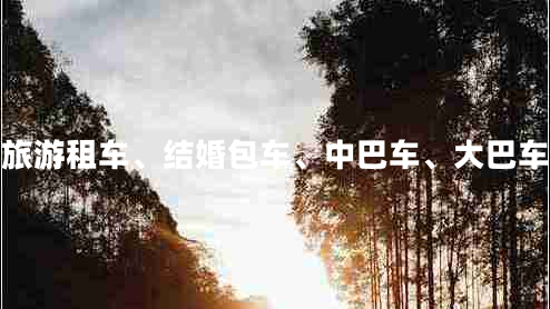 咸陽企業(yè)旅游租車、結婚包車、中巴車、大巴車、商務車