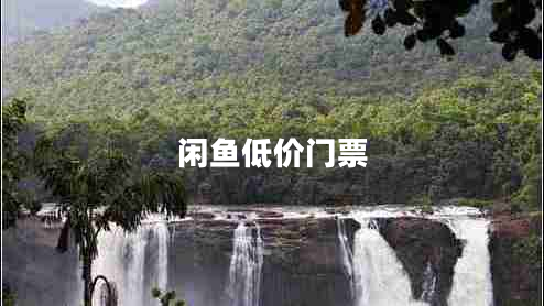 閑魚低價門票