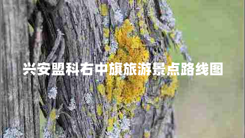 興安盟科右中旗旅游景點(diǎn)路線(xiàn)圖