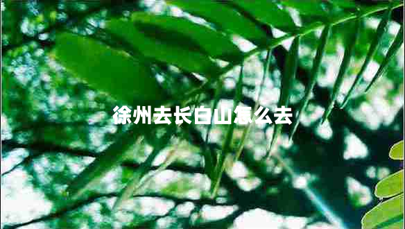 徐州去長白山怎么去