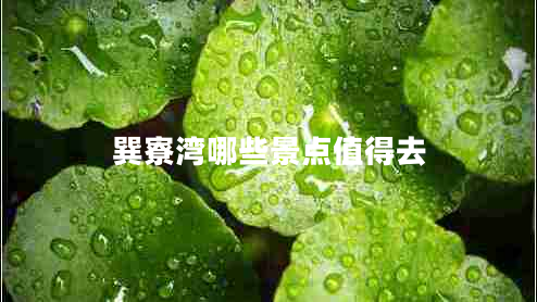 巽寮灣哪些景點(diǎn)值得去