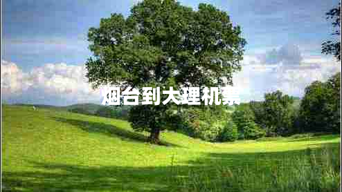 煙臺到大理機票