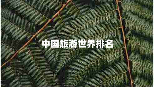 中國(guó)旅游世界排名