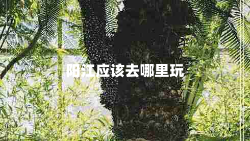 陽(yáng)江應(yīng)該去哪里玩