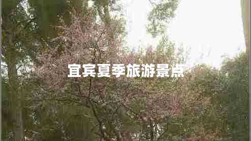宜賓夏季旅游景點