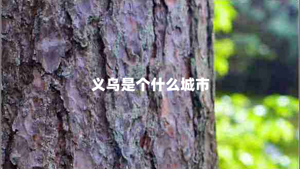 義烏是個什么城市