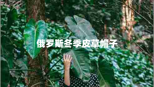 俄羅斯冬季皮草帽子