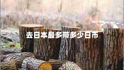 去日本最多帶多少日幣