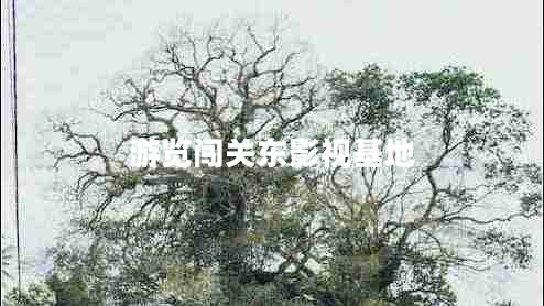 游覽闖關東影視基地