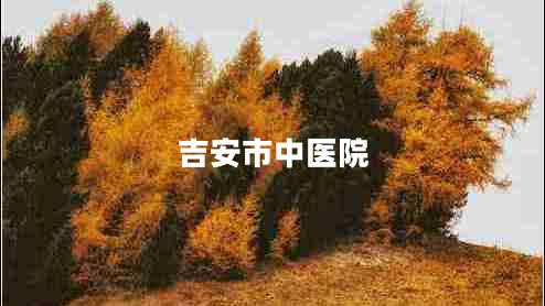 吉安市中醫(yī)院