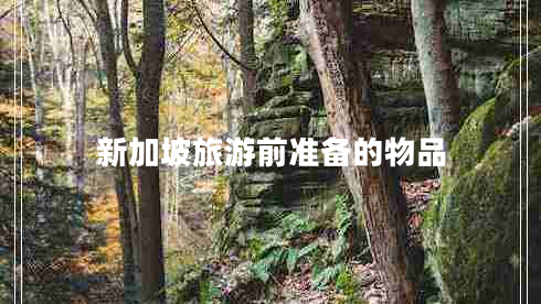 新加坡旅游前準備的物品