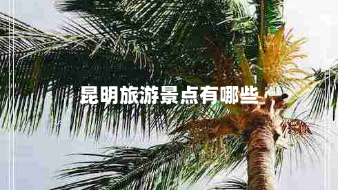 昆明旅游景點(diǎn)有哪些
