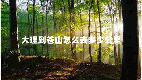 大理到蒼山怎么去多少公里