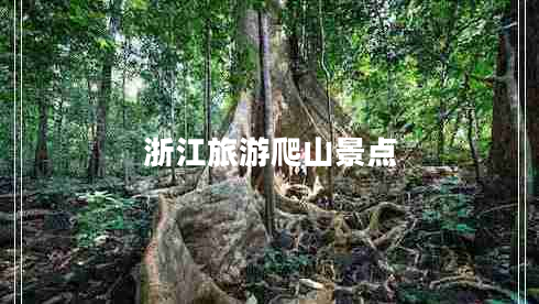 浙江旅游爬山景點(diǎn)