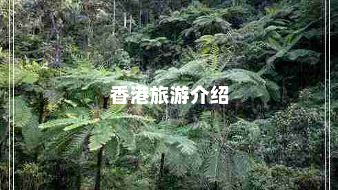 香港旅游介紹