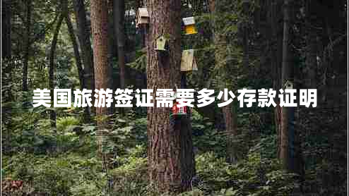 美國旅游簽證需要多少存款證明