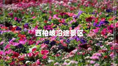 西柏坡沿途景區(qū)