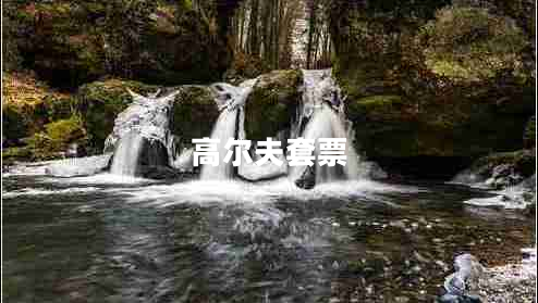高爾夫套票