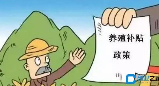 農村養殖政府扶持項目有哪些