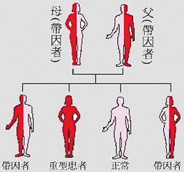 地中海貧血有哪些醫治方法