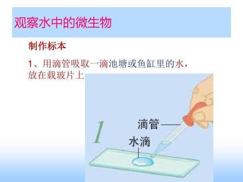 何為觀(guān)察常見(jiàn)的觀(guān)察方法有哪些
