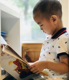修補(bǔ)圖書的方法有哪些
