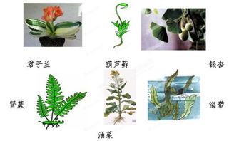在一個(gè)類(lèi)中的方法有哪些特點(diǎn)是什么
