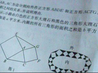 初中面積問(wèn)題與方法有哪些