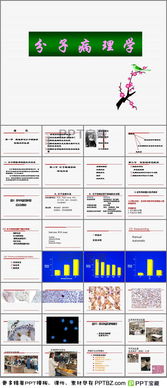 分子病理檢測方法包括哪些