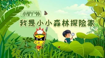 自然教育方法有哪些內容是什么意思