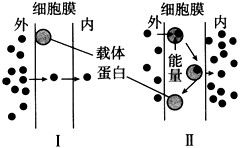 吸收推動(dòng)力是什么有哪些表示方法