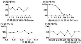 微生物表現型表示方法有哪些